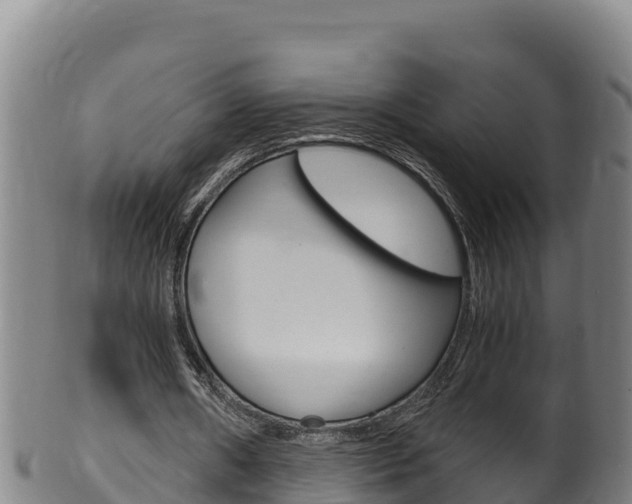 X0000100380482200806060830