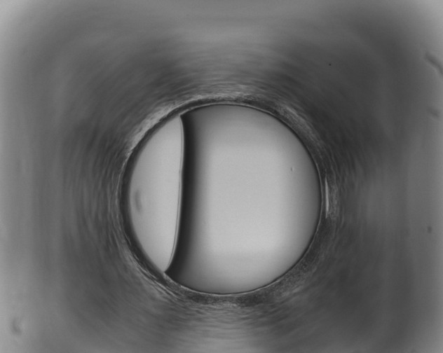 X0000100380483200806060830