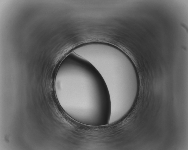 X0000100380485200806060830