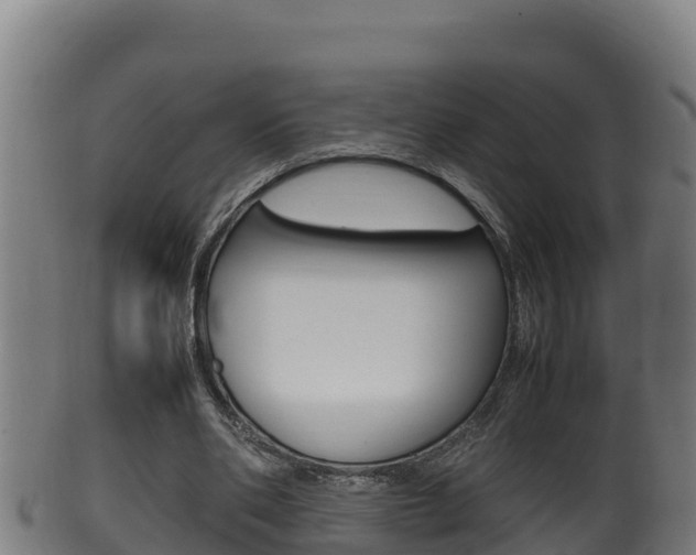 X0000100380486200806060830