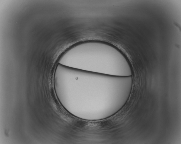 X0000100380487200806060830