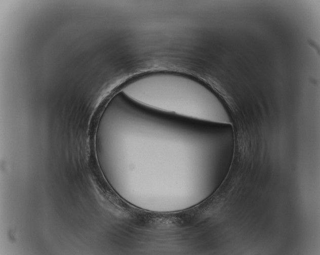 X0000100380488200806060830