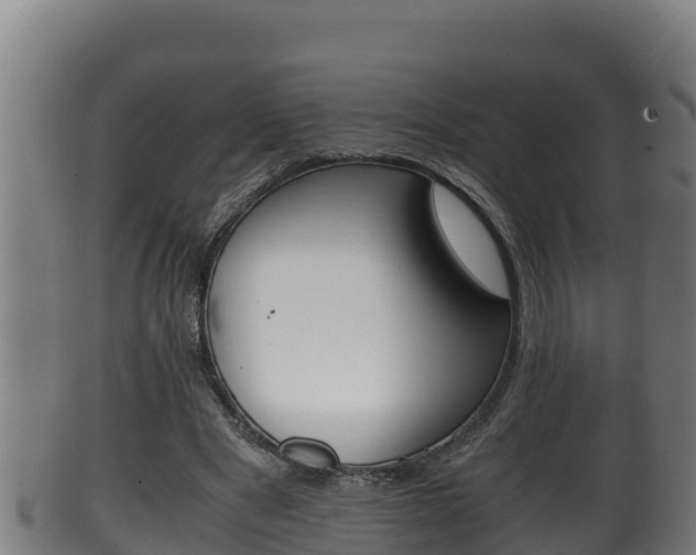 X0000100380489200806060830