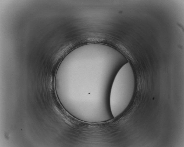 X0000100380490200806060830