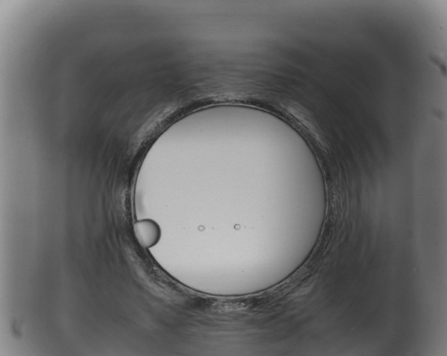 X0000100380491200806060830