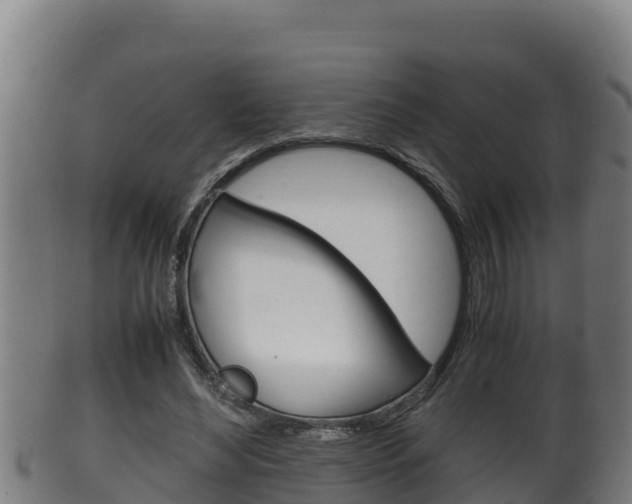 X0000100380492200806060830