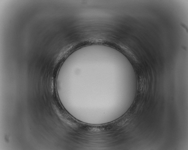 X0000100380494200806060830