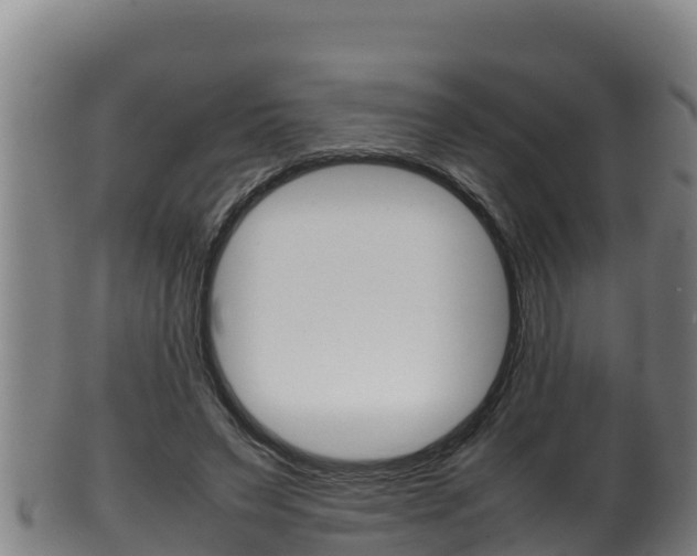 X0000100380495200806060830