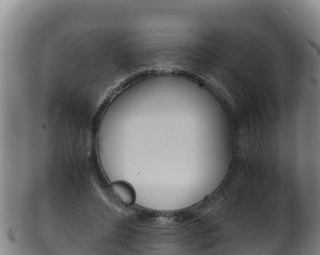 X0000100380496200806060830