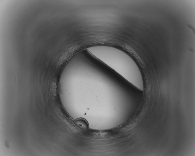 X0000100380497200806060830