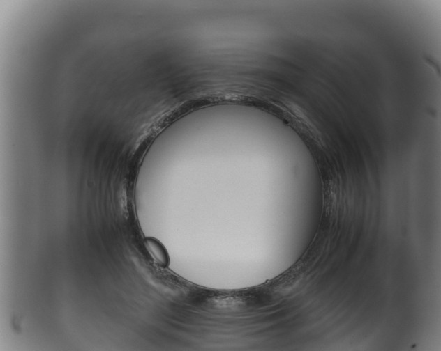 X0000100380500200806060829