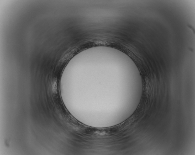 X0000100380502200806060829