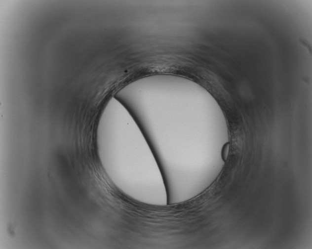 X0000100380503200806060829