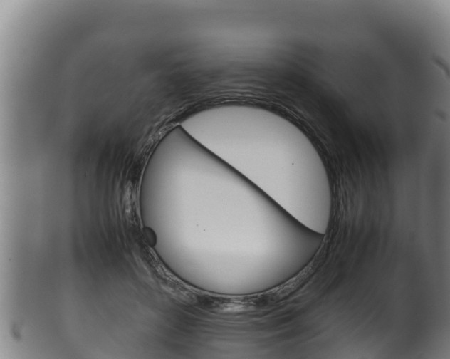 X0000100380504200806060829