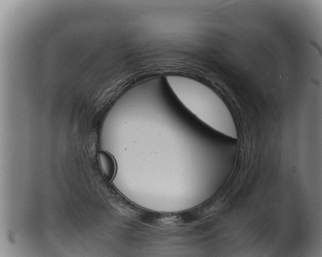 X0000100380505200806060829