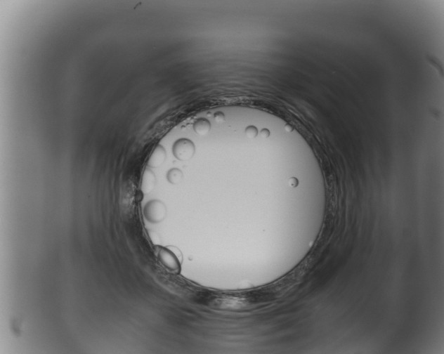 X0000100380507200806060829