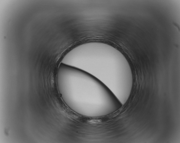 X0000100380508200806060829