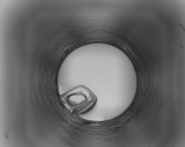 X0000100380509200806060829