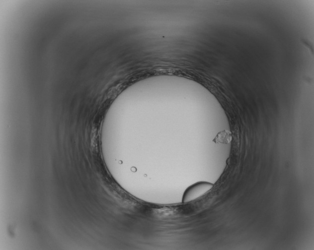 X0000100380511200806060829