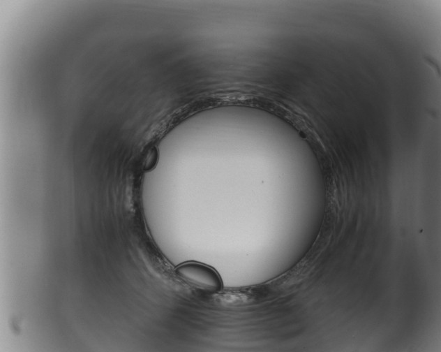 X0000100380512200806060829