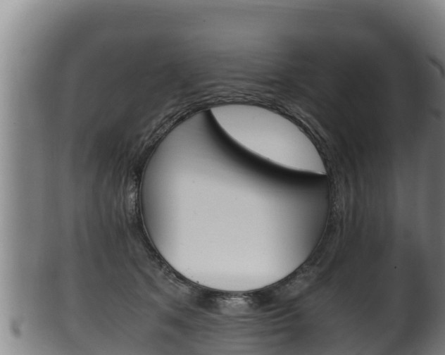X0000100380513200806060829