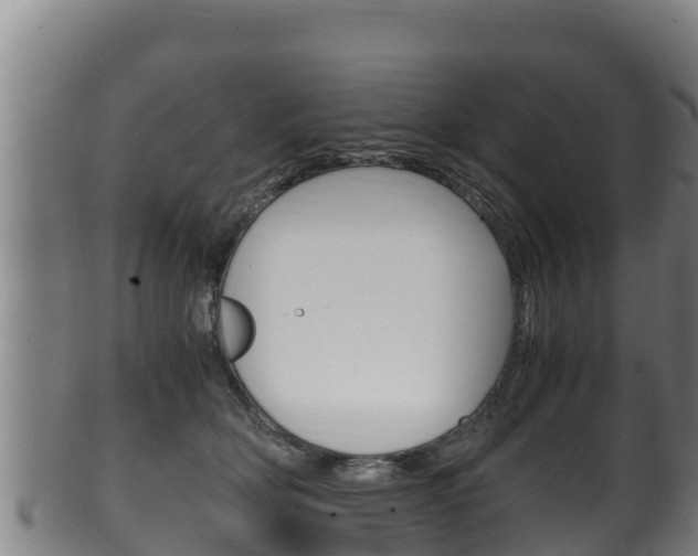 X0000100380514200806060829