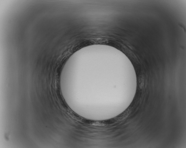 X0000100380515200806060829