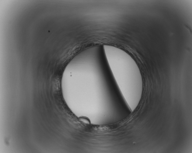 X0000100380517200806060829