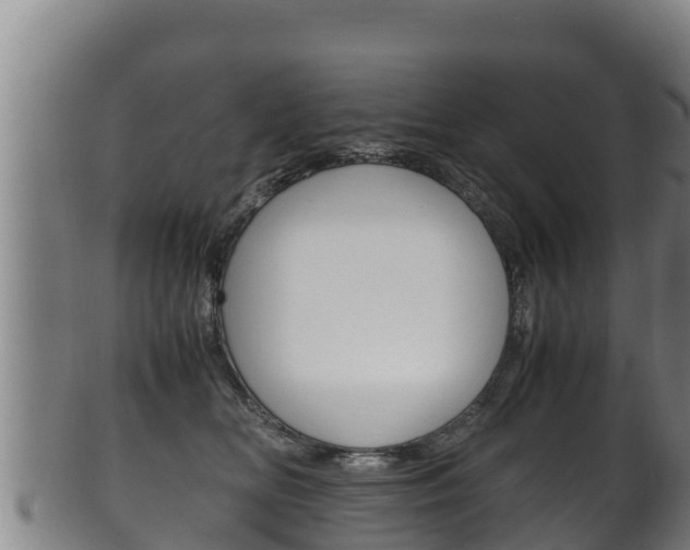 X0000100380518200806060829