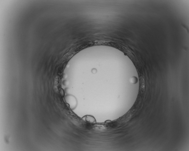 X0000100380519200806060829