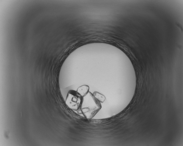 X0000100380521200806060829