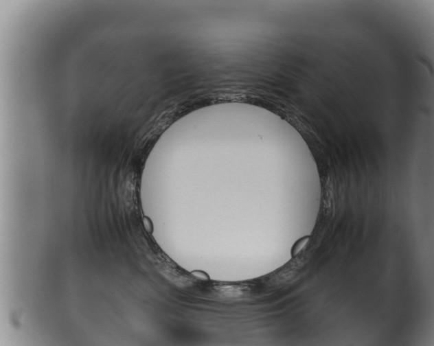 X0000100380522200806060829