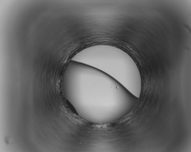 X0000100380524200806060829