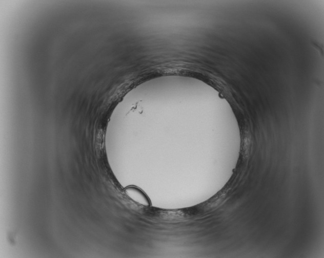X0000100380525200806060829