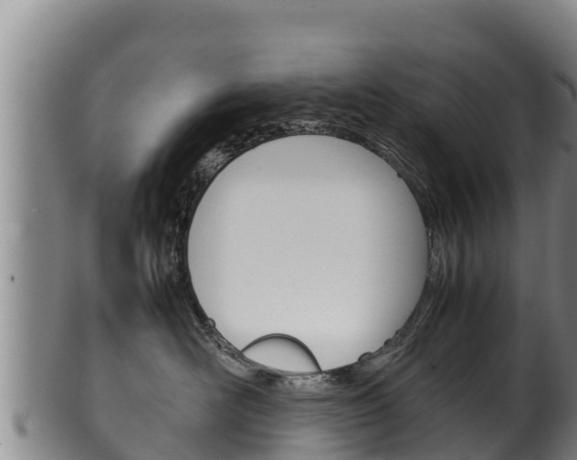 X0000100380526200806060829