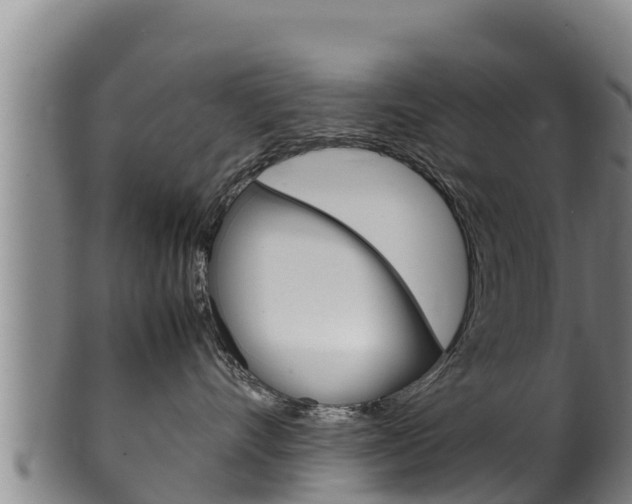 X0000100380528200806060829