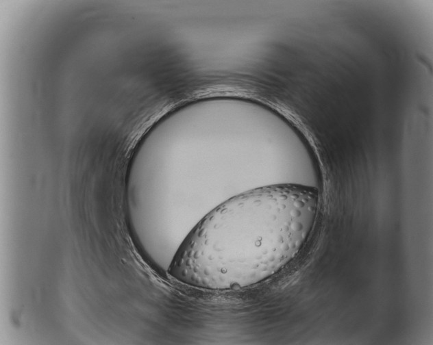 X0000100380529200806060828