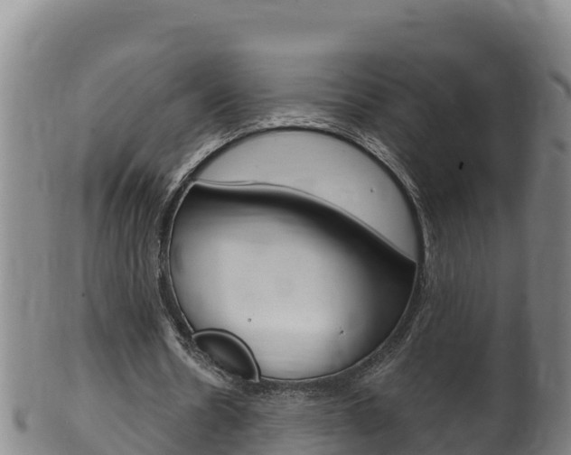 X0000100380530200806060828