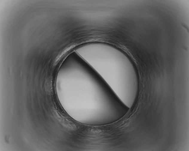 X0000100380531200806060828