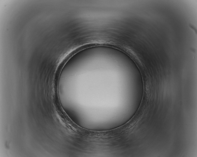 X0000100380532200806060828