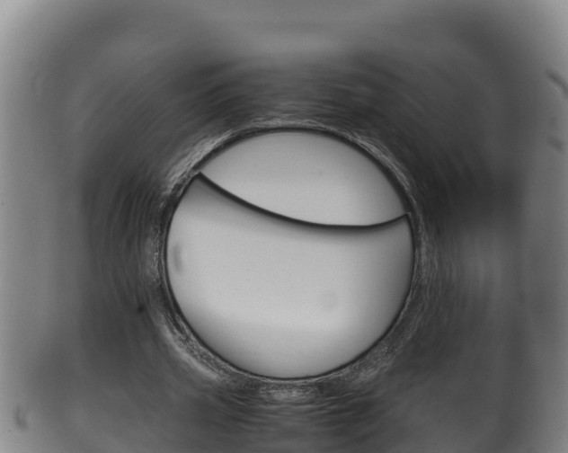 X0000100380533200806060828