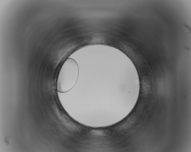 X0000100380534200806060828
