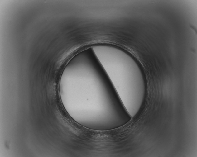 X0000100380535200806060828