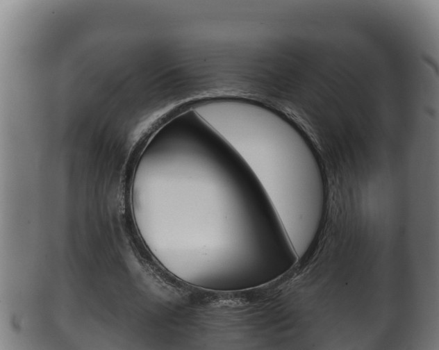 X0000100380536200806060828