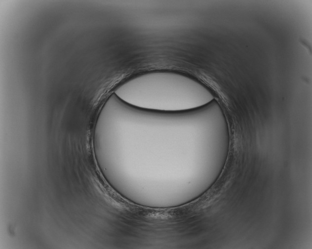 X0000100380537200806060828