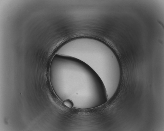 X0000100380538200806060828