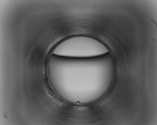 X0000100380539200806060828