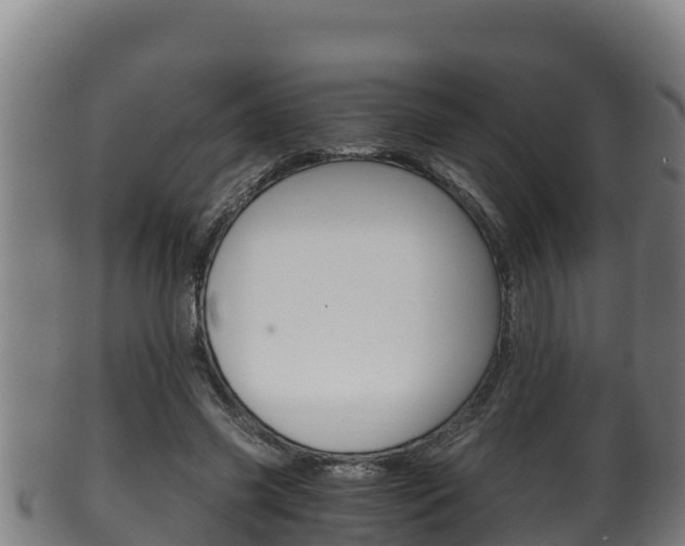 X0000100380541200806060828