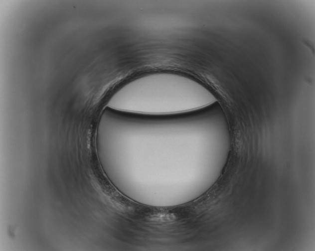 X0000100380543200806060828