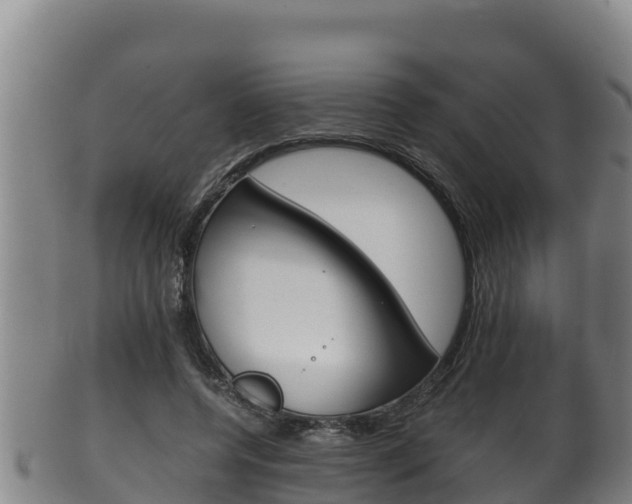 X0000100380544200806060828